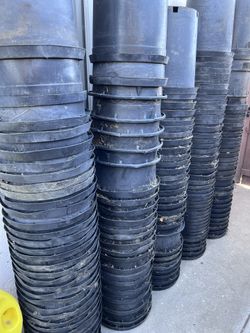 Used 15 Gallons Nursery Pots For $4/ea (100 Available)