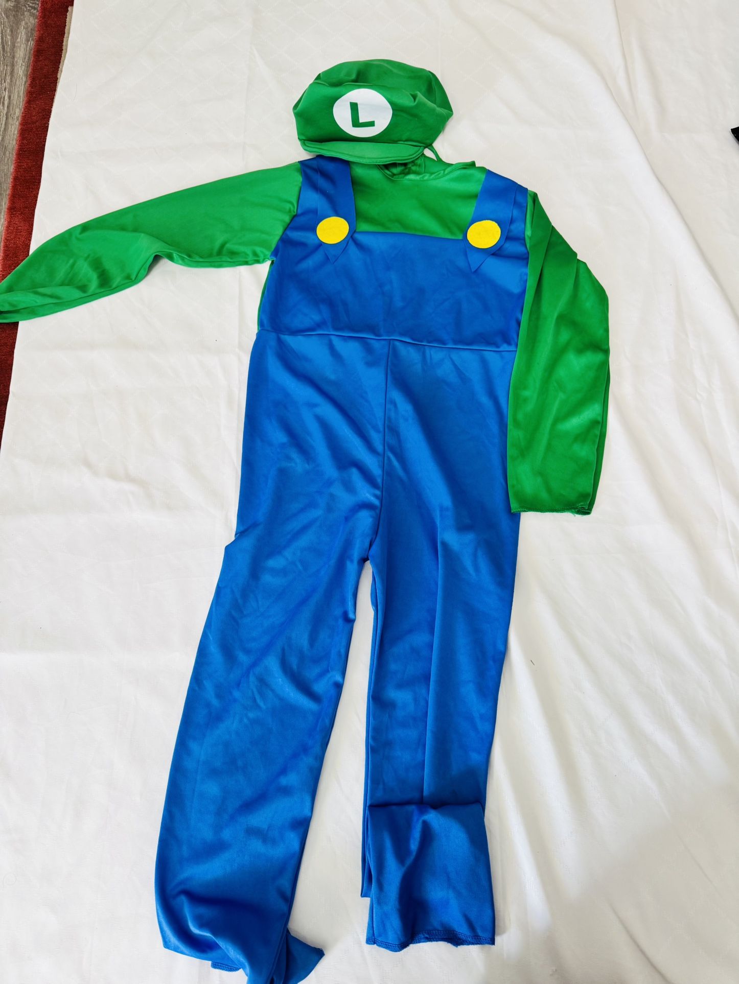 Super Mario Luigi Costume