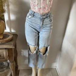 American Eagle Super High-rise Ankle Straight Size 8 