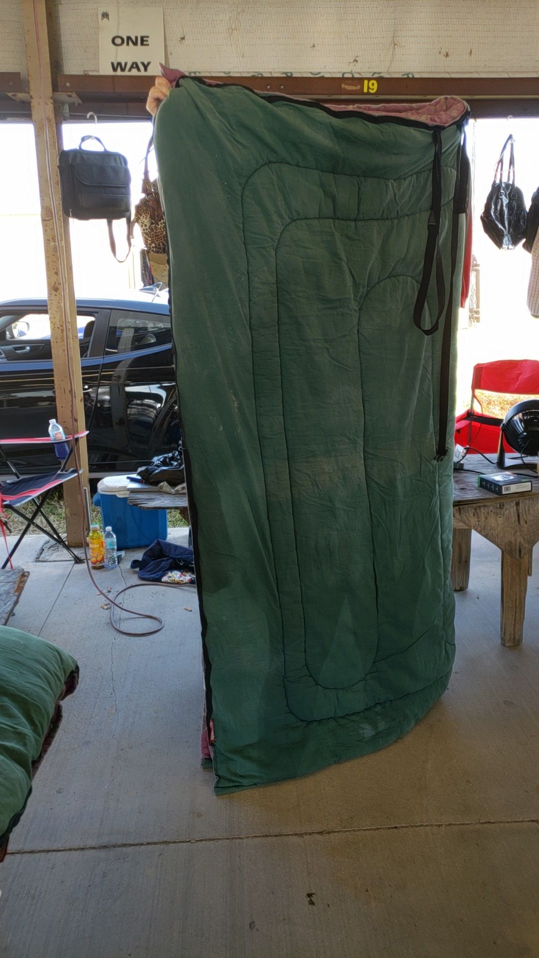 Coleman sleeping bags