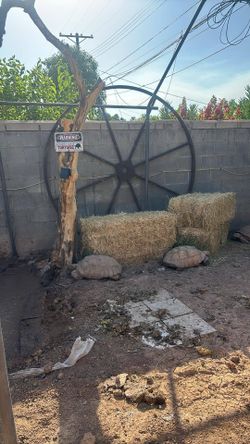 Medal Giant Wheel , Western Style, Decor