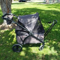 Expedition 2-1 Stroller Wagon