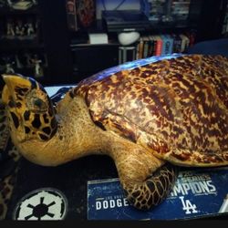 Decorative Turtle