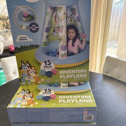 Bluey 15 Ball Playland 