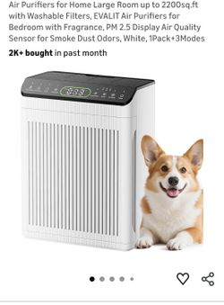 Air Purifiers For Large Rooms