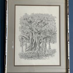 Kona bahyan tree print          (D’Witt 80)
