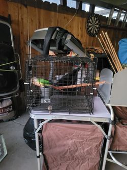 Bird carrier