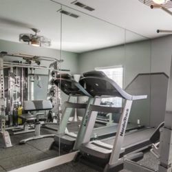 FREE Gym Wall Mirrors 