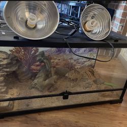 Reptile Tank