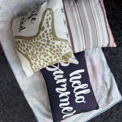 3 Decor Pillows 
