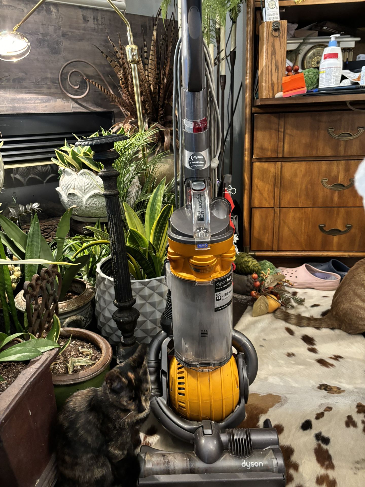 Dyson Orange Ball Vacuum 