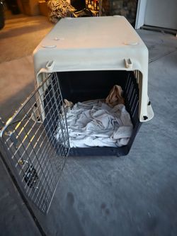 Pet Carrier medium Size