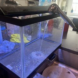 10 Gallon Fish Tank 