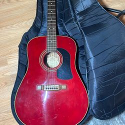Washburn Two Piece Back Acoustic Guitar, Soft Case And Stand 
