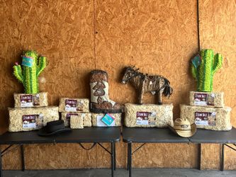 Western Party Supplies/ Decor