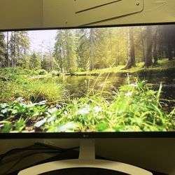 LG 27UD69P 4k Monitor