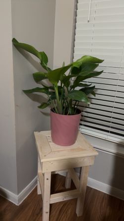 Mesita para planta