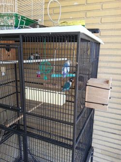 Cage