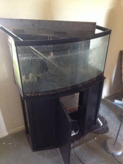 60 gallon fish tank