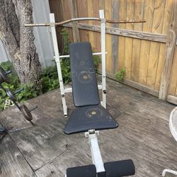 Bench press Stand ( Weights Are Separate )