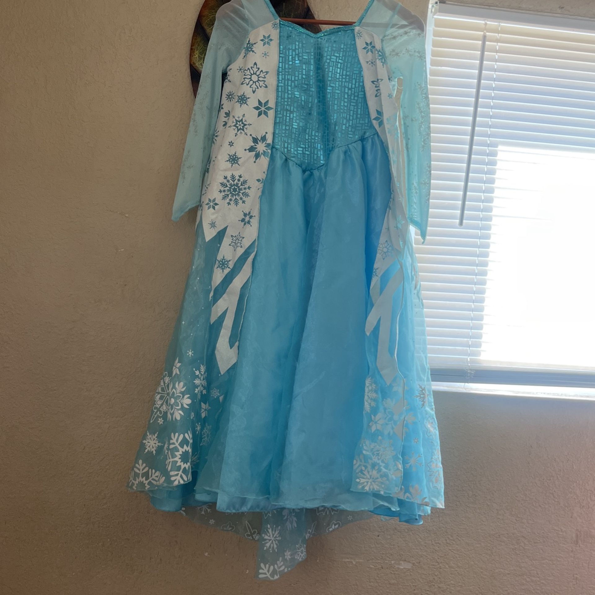 Elsa Costumes Dress