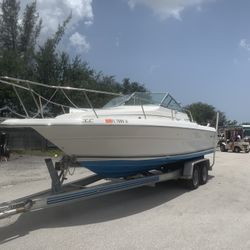 1995 SeaRay Laguna Cuddy Cabin