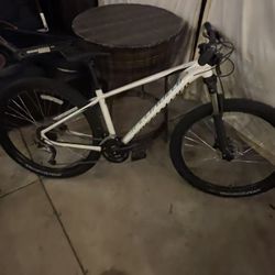 Specialized Bike Rockhopper sport 29