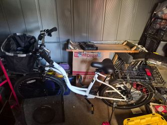 Electric bike