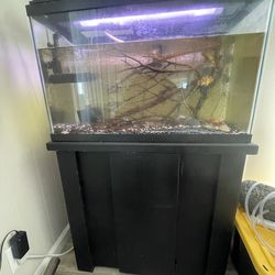 40 gallon fish tank