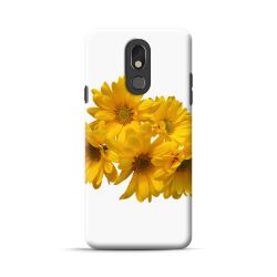 Stylo 5 FREE