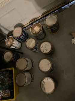 Paint 10 gallon