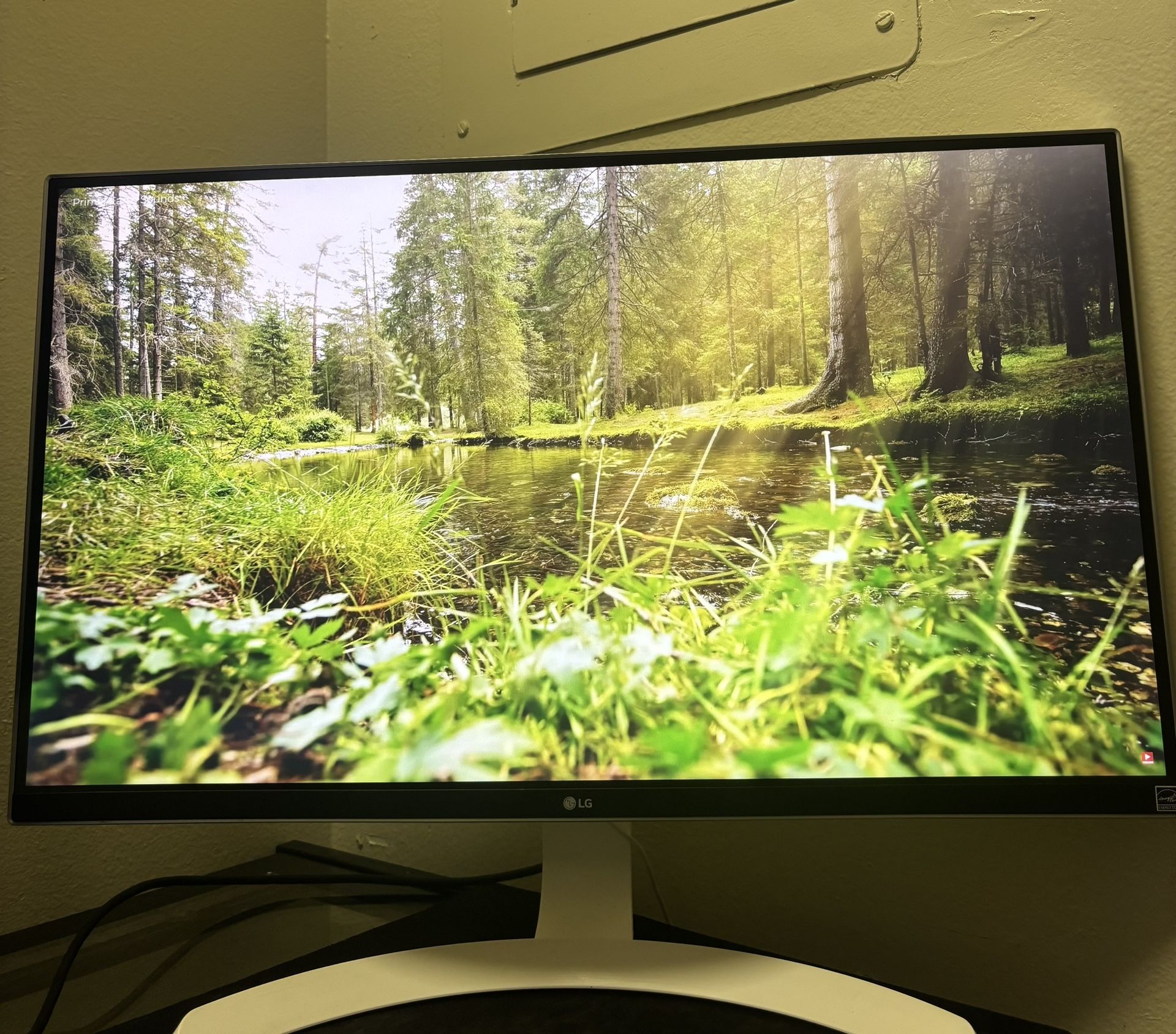 LG 27UD69P 4k Monitor
