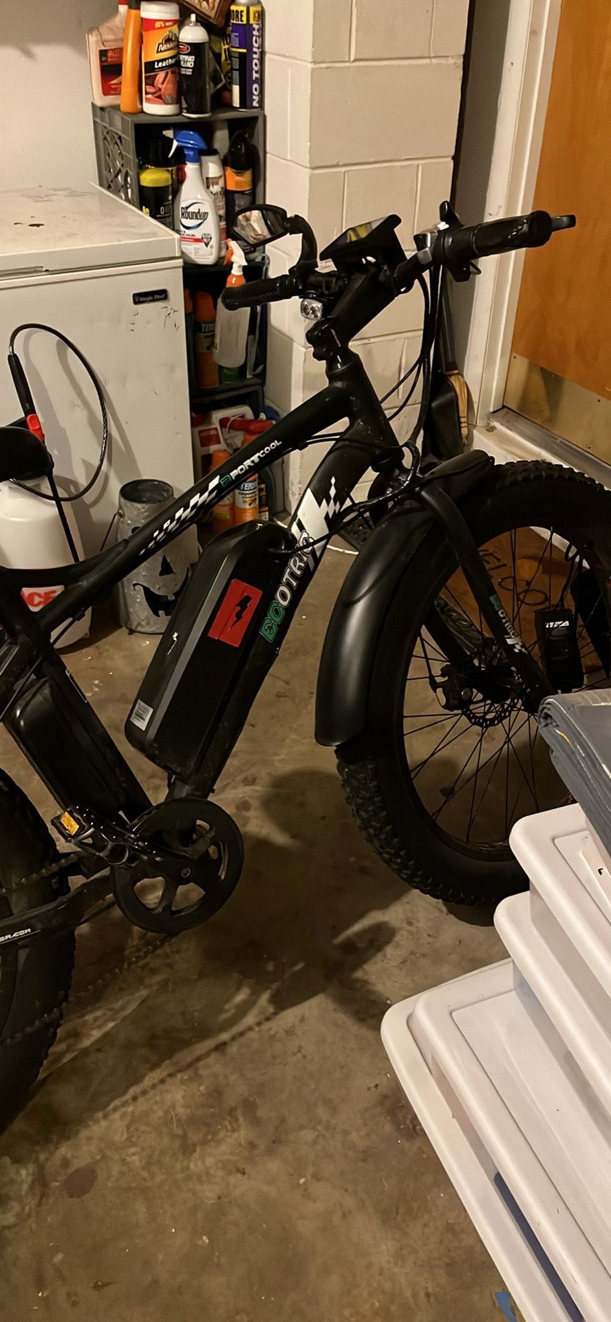EcoTric Custom E-Bike