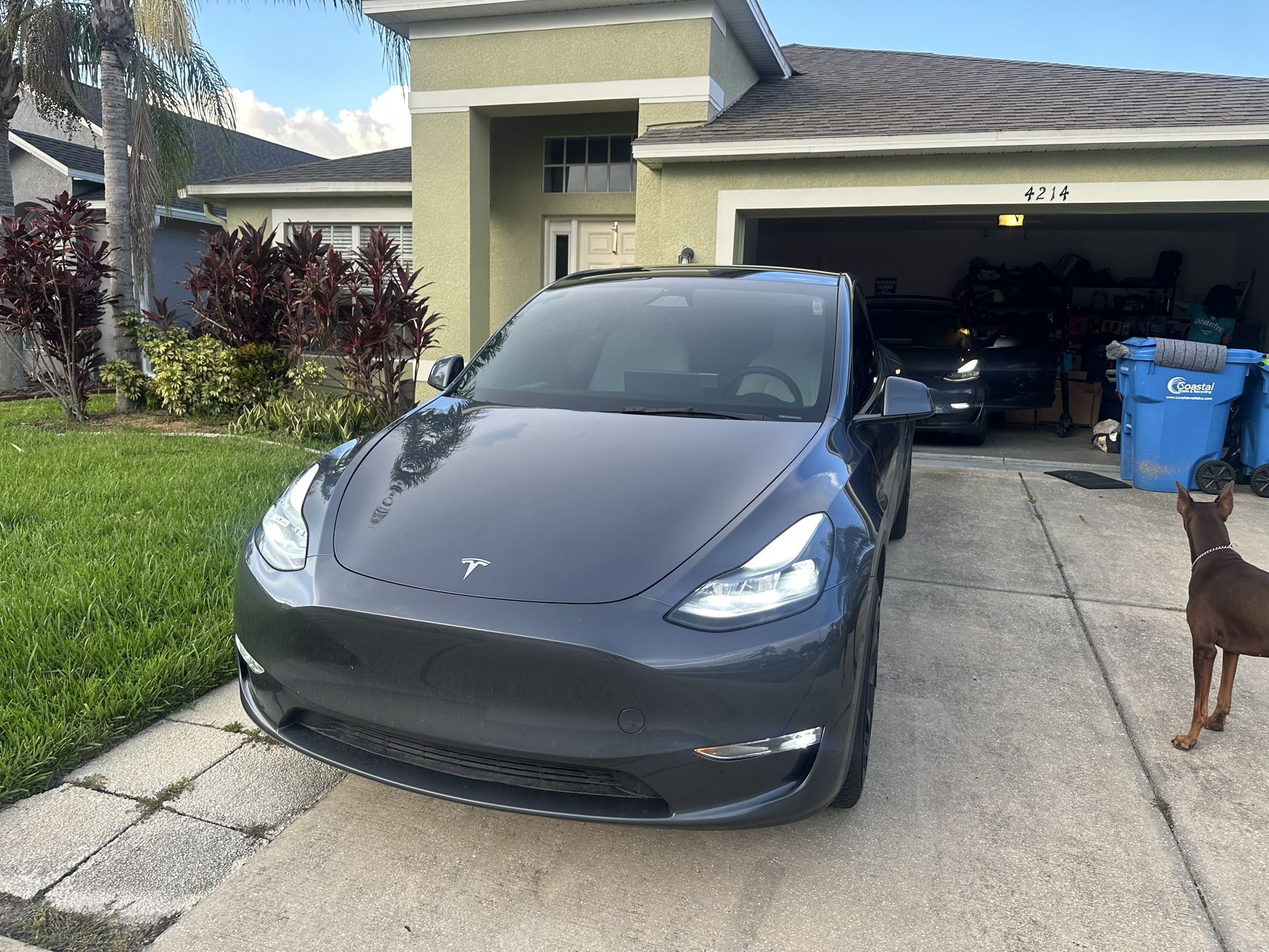 2023 Tesla Model Y