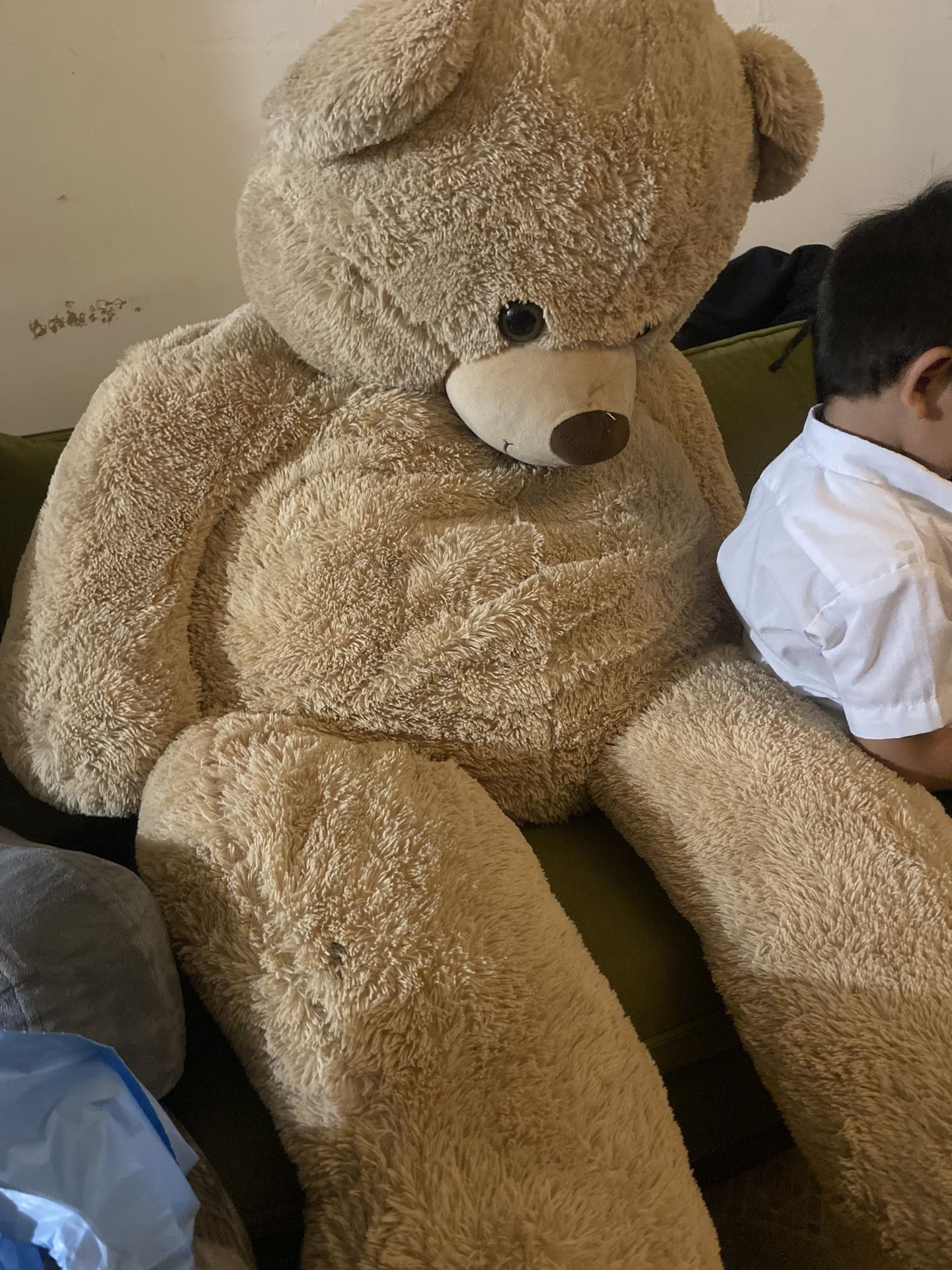 Big Teddy Bear