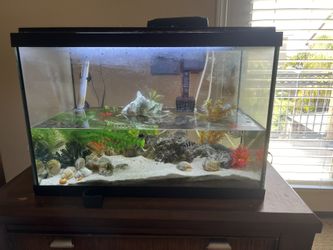 29 Gallon fish Tank Filter Decor Rocks Plants &more