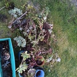 Make me an offer I'll dig it up and get it to you.