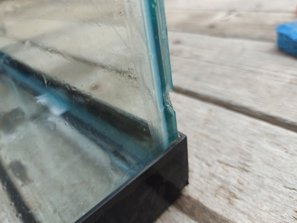20G Long Aquarium With Custom Lid