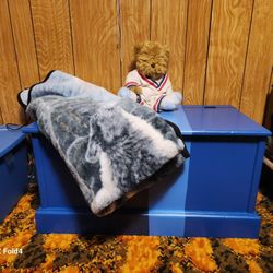 Blue Toy Chest/Storage Chest
