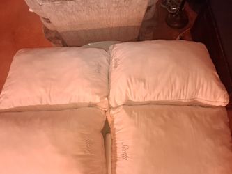 Sealy pillows (set of 4)