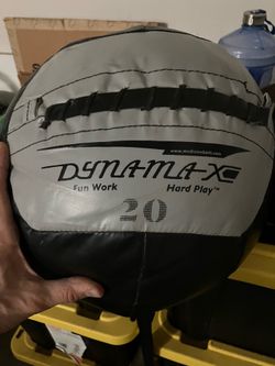 Dynamax 20lb Wall ball