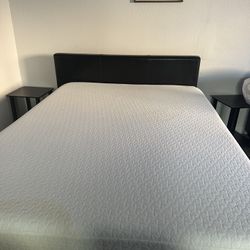 Queen Bed Frame With Zinus 12 Inch Mattress 