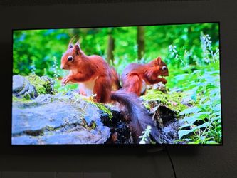 TCL - 65" Class Q6-Series 4K UHD QLED Smart Google + wall mount