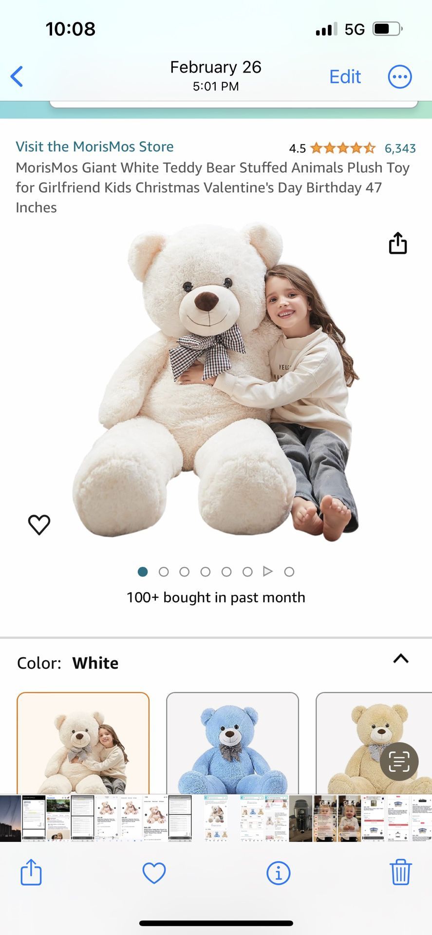 Giant White Teddy Bear