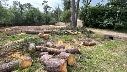 Cortes De árboles en todo Houston