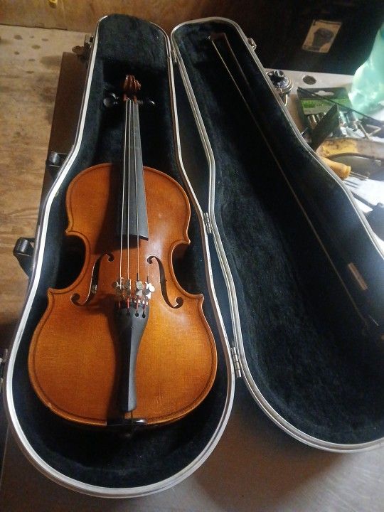 🎻  Violin  CZECH REPUBLIC 