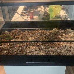 snake habitat