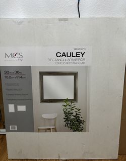 MCS Cauley  30" x 36" Decorative Mirror 