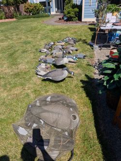 Goose and duck decoys