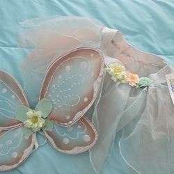 Fairy Wings And Skirt